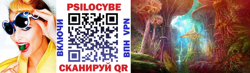закладка  Томилино  Галлюциногенные грибы Psilocybine cubensis 